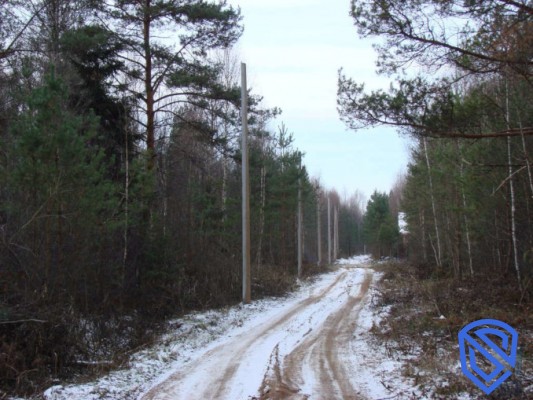 Подъездная дорога к Чернобылю зимой