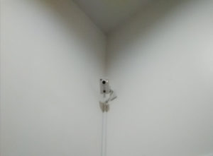 установка облачной камеры наблюдения в гардеробе